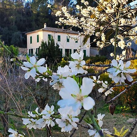 Agroturisme Finca Sa Maniga Bunyola Extérieur photo