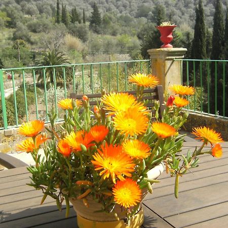 Agroturisme Finca Sa Maniga Bunyola Extérieur photo