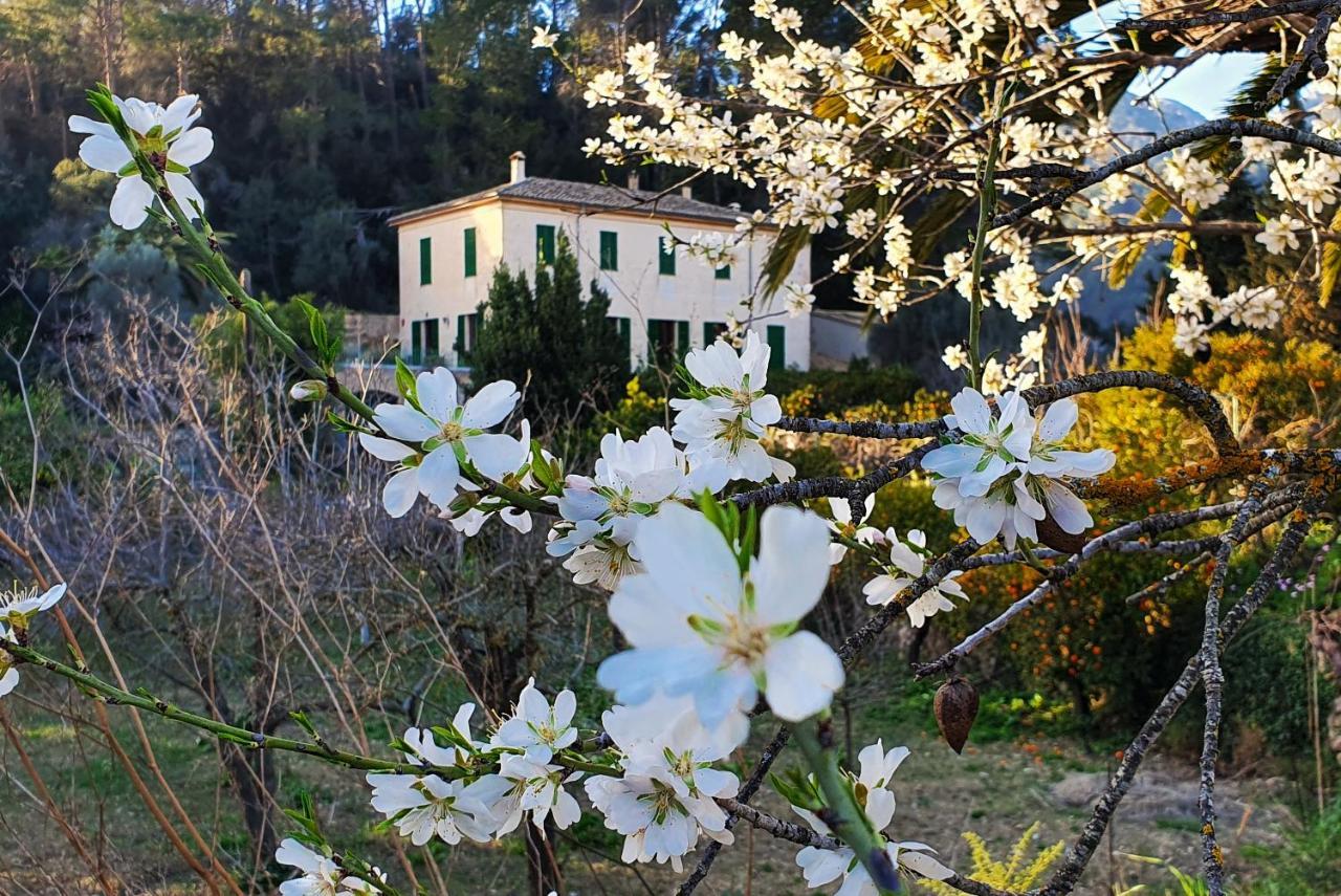 Agroturisme Finca Sa Maniga Bunyola Extérieur photo