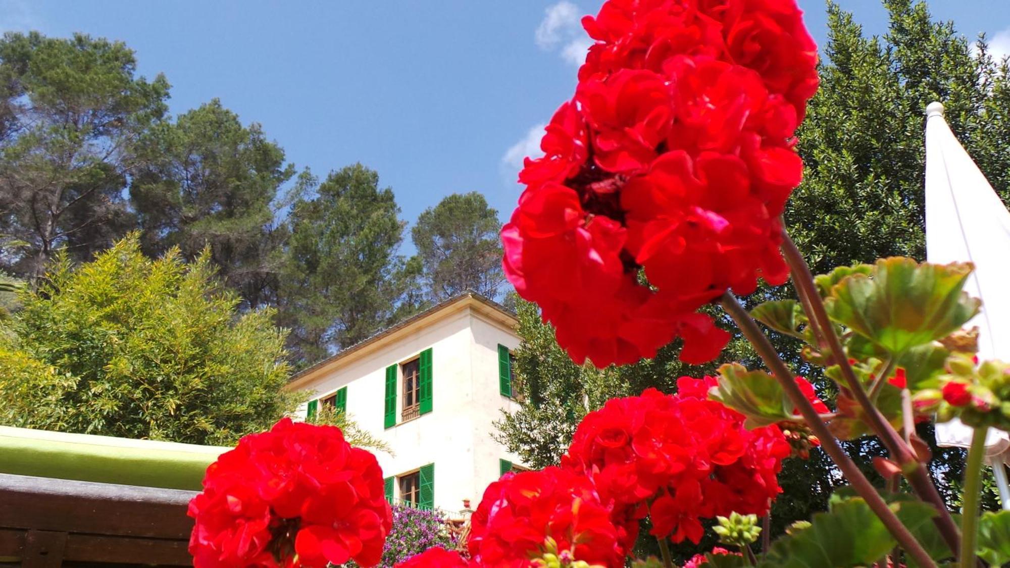 Agroturisme Finca Sa Maniga Bunyola Extérieur photo