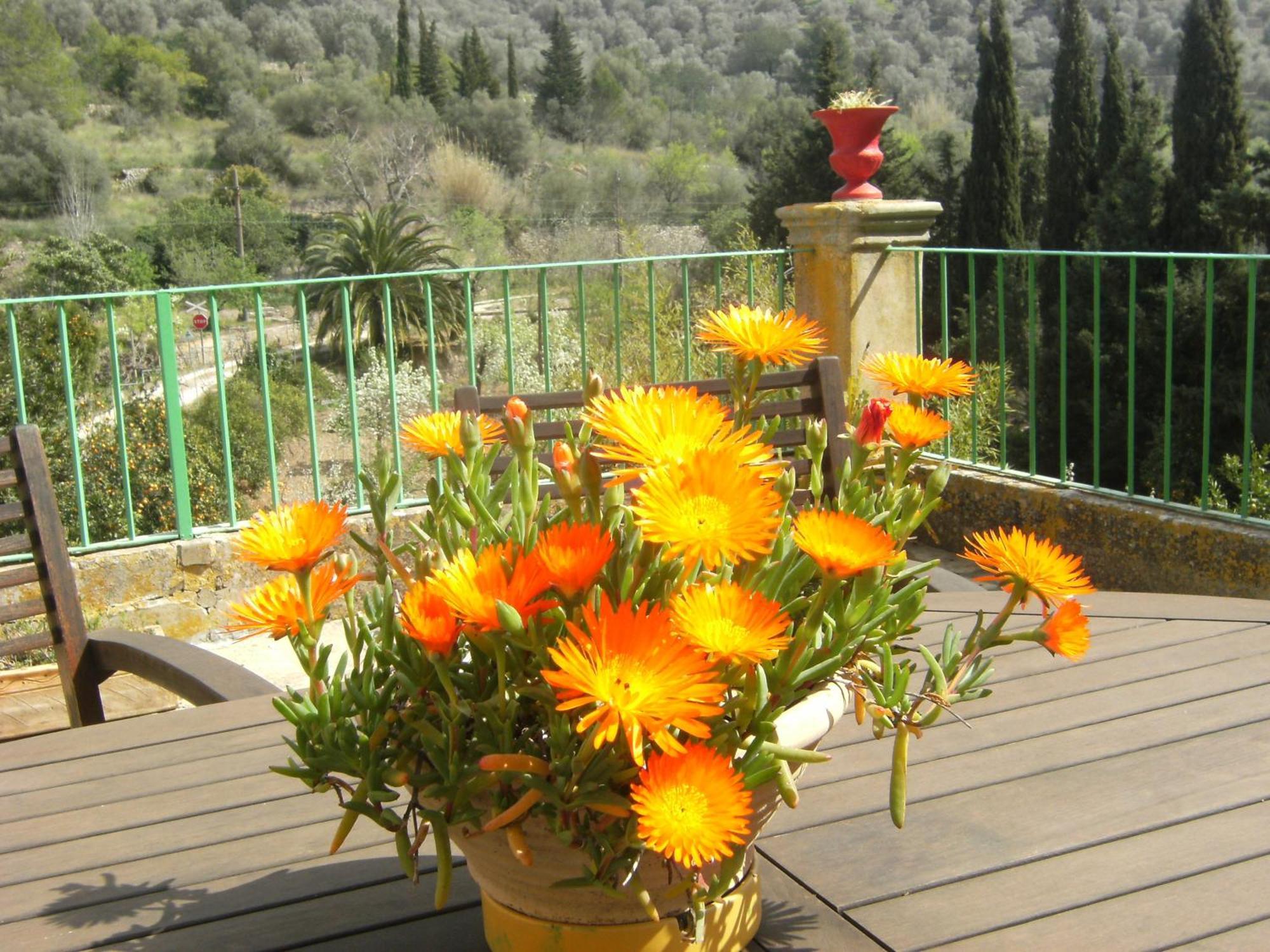 Agroturisme Finca Sa Maniga Bunyola Extérieur photo